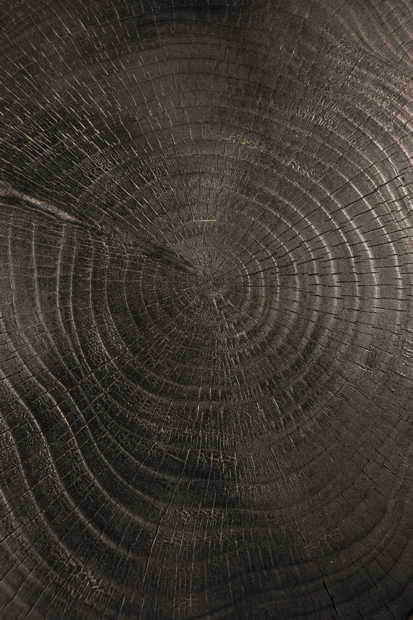 KEDAR II detail