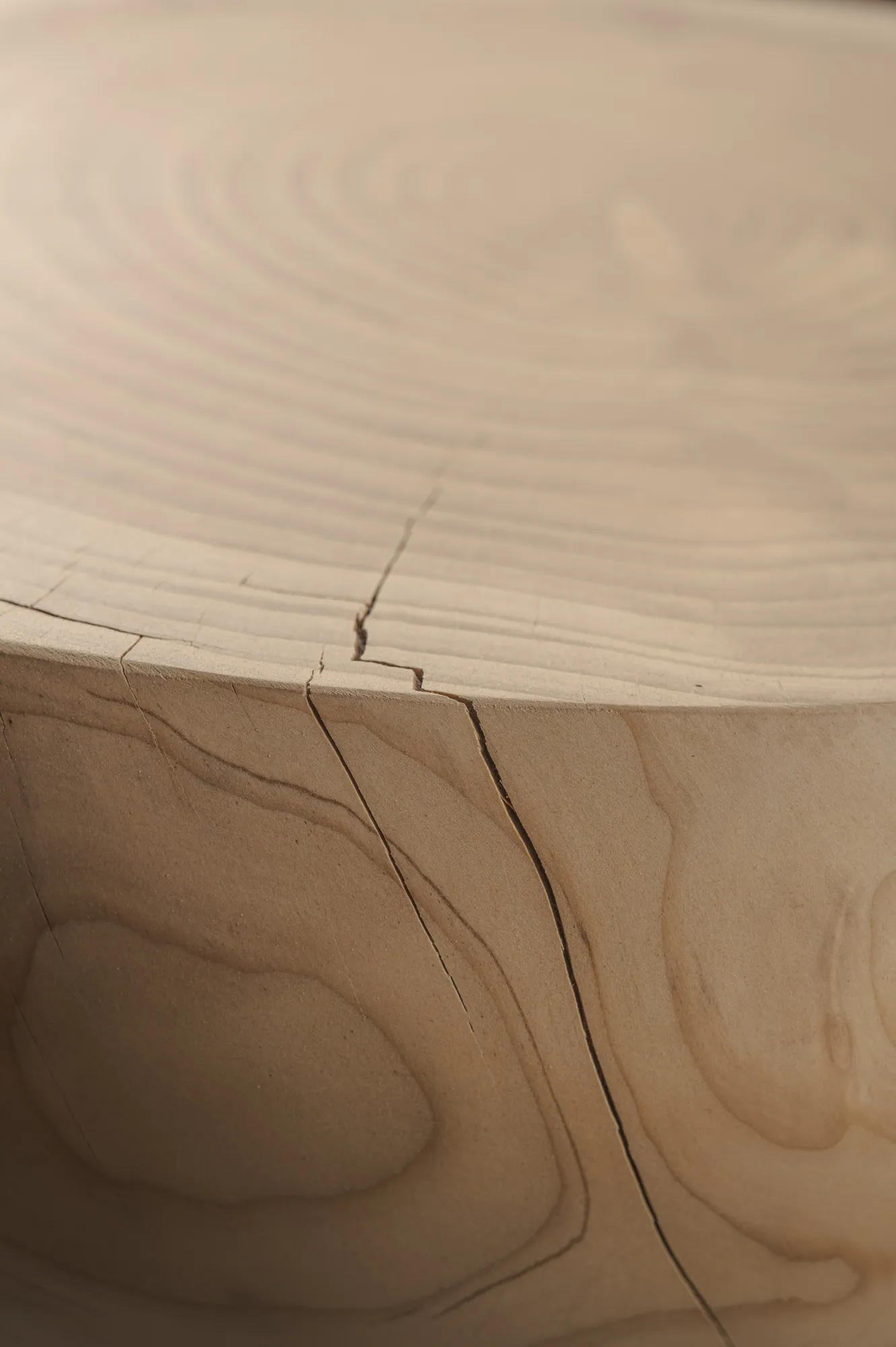KEDAR IV detail