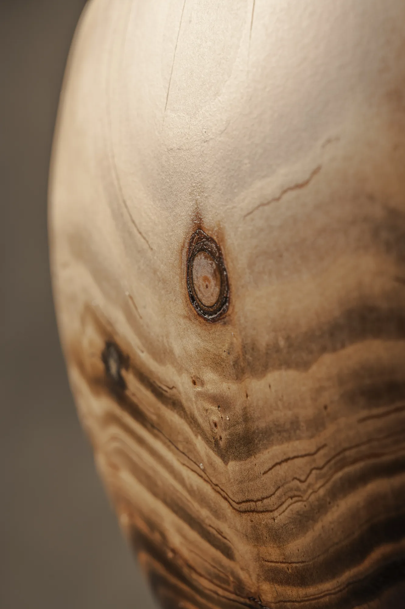 KEDAR VI detail