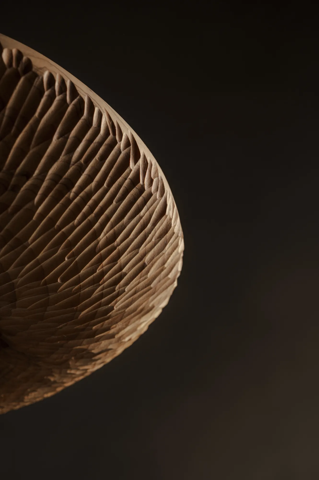 KEDAR VII detail
